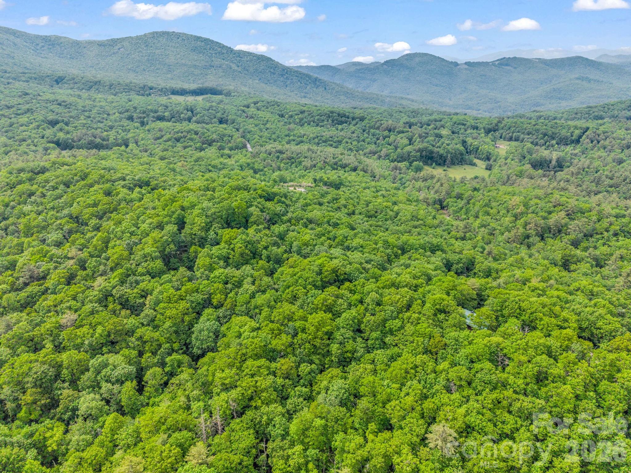 Indian Lake Estates - Land