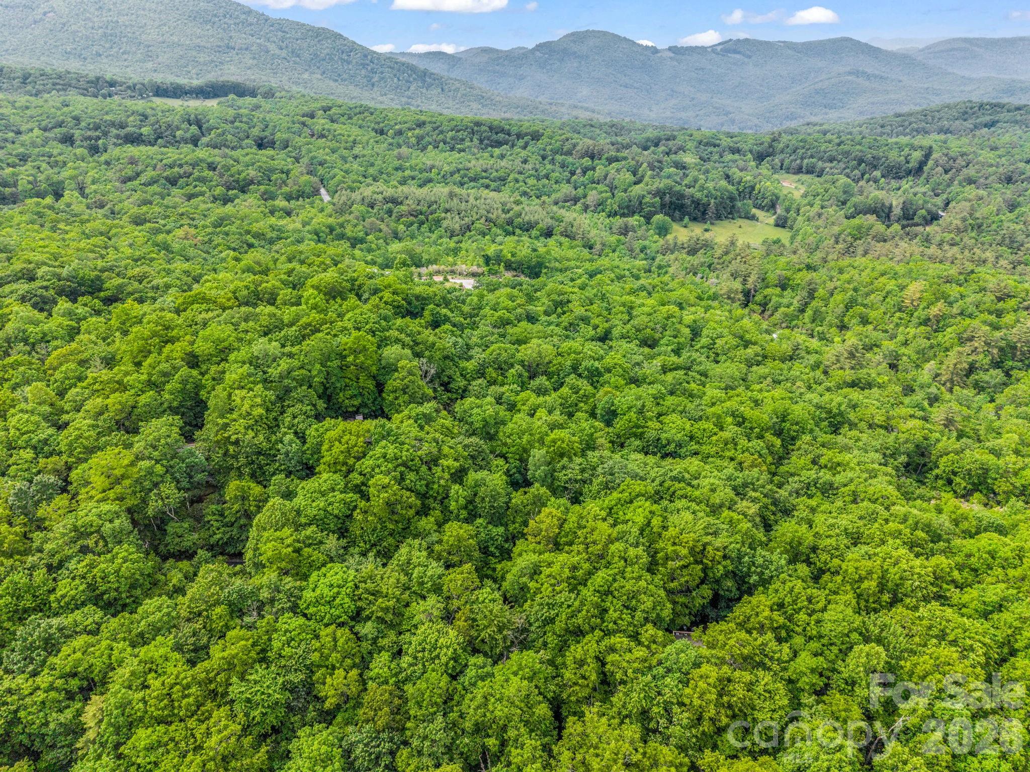 Indian Lake Estates - Land