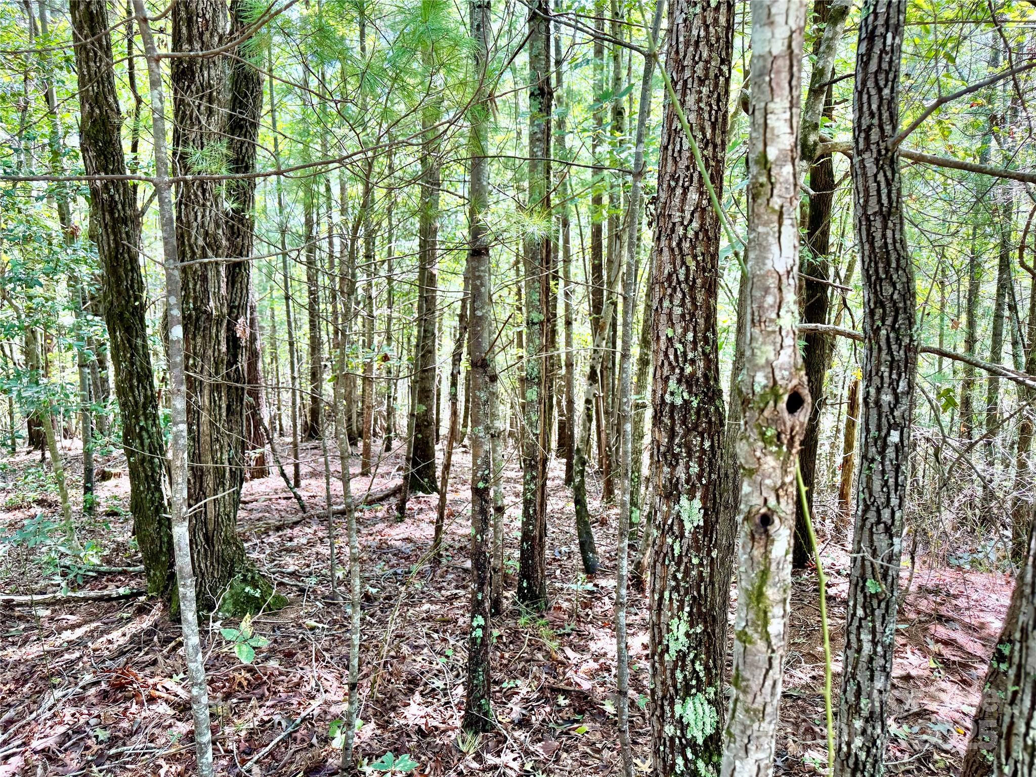 The Coves Mountain River Club - Land