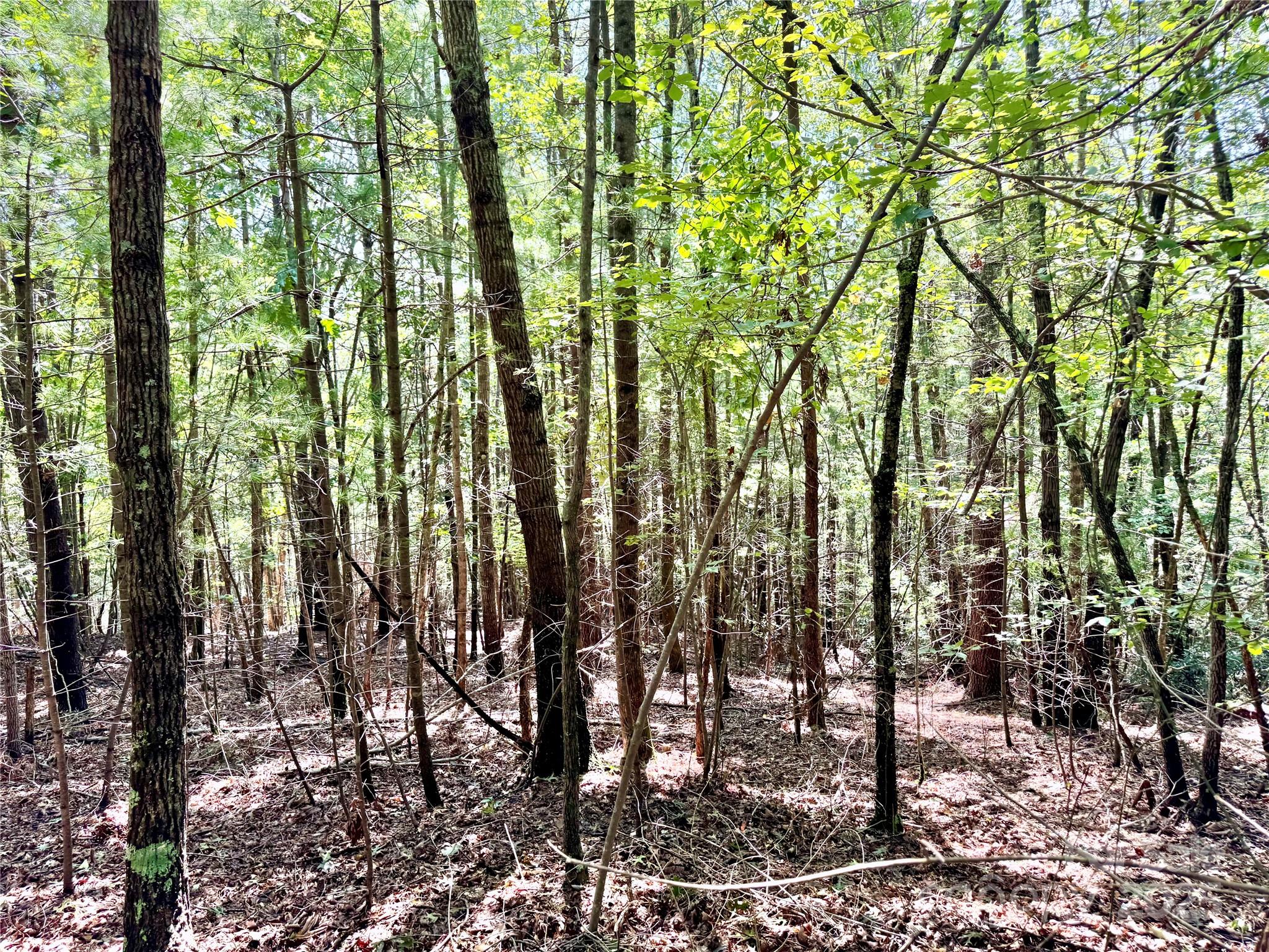 The Coves Mountain River Club - Land