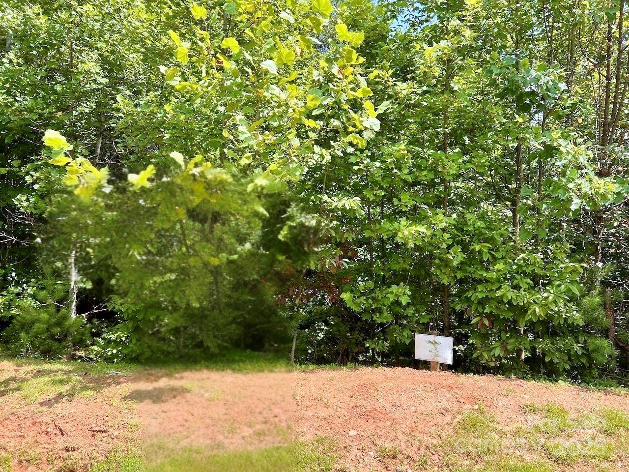 The Coves Mountain River Club - Land