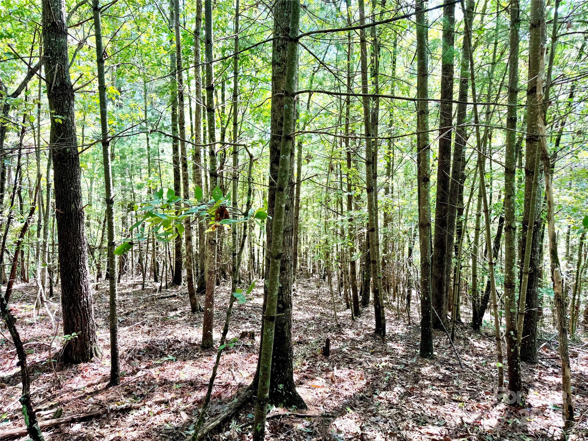 The Coves Mountain River Club - Land