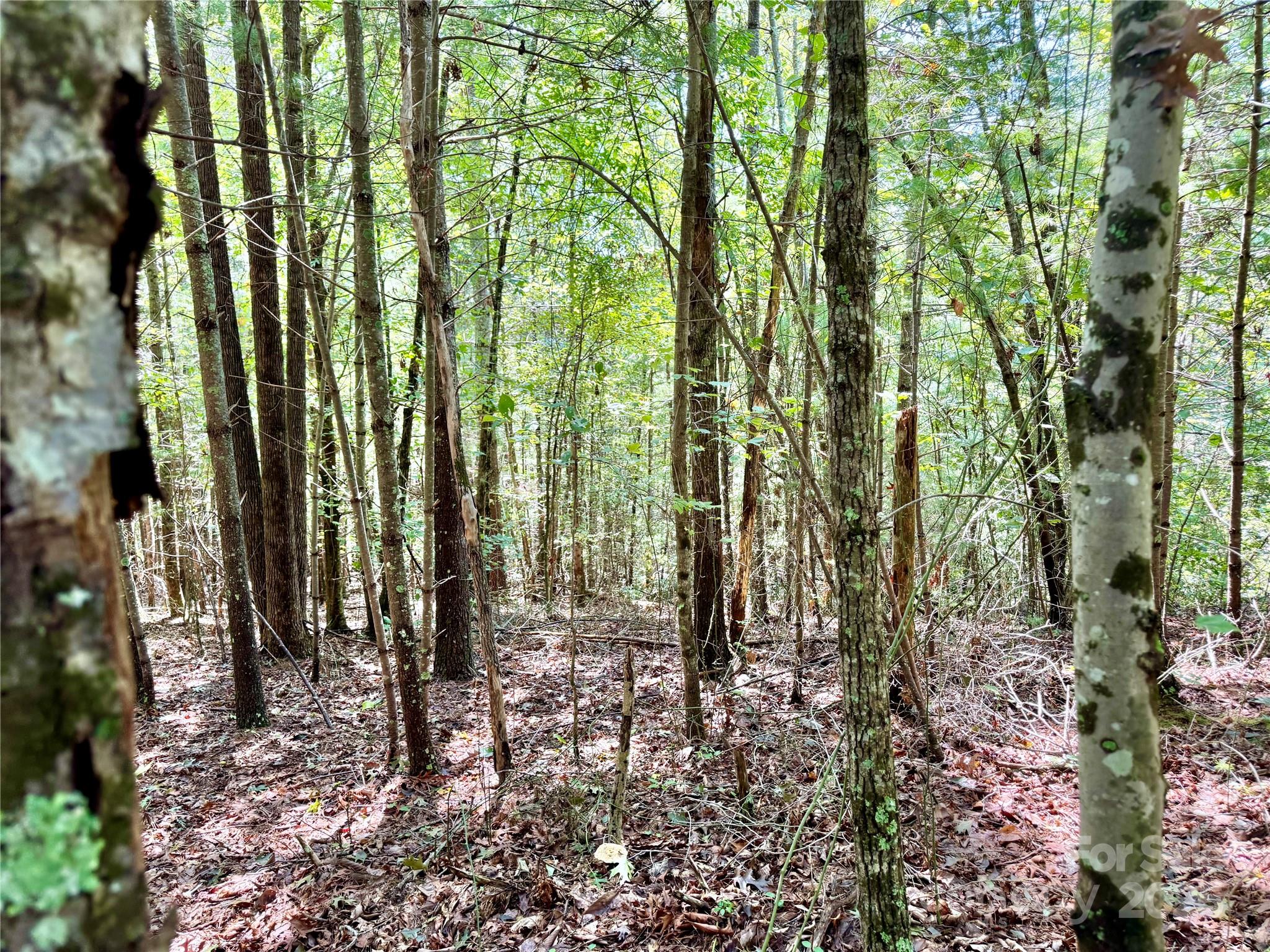 The Coves Mountain River Club - Land