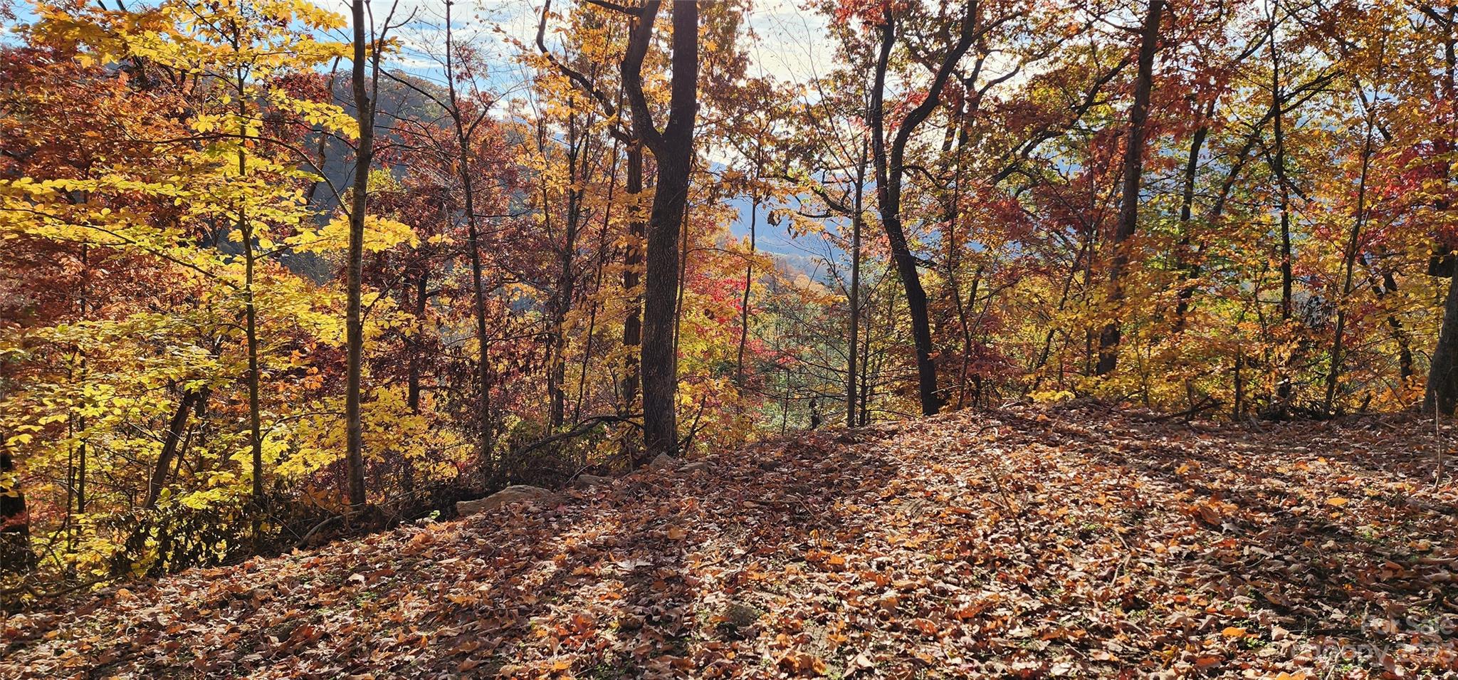 Countryside Acres - Land