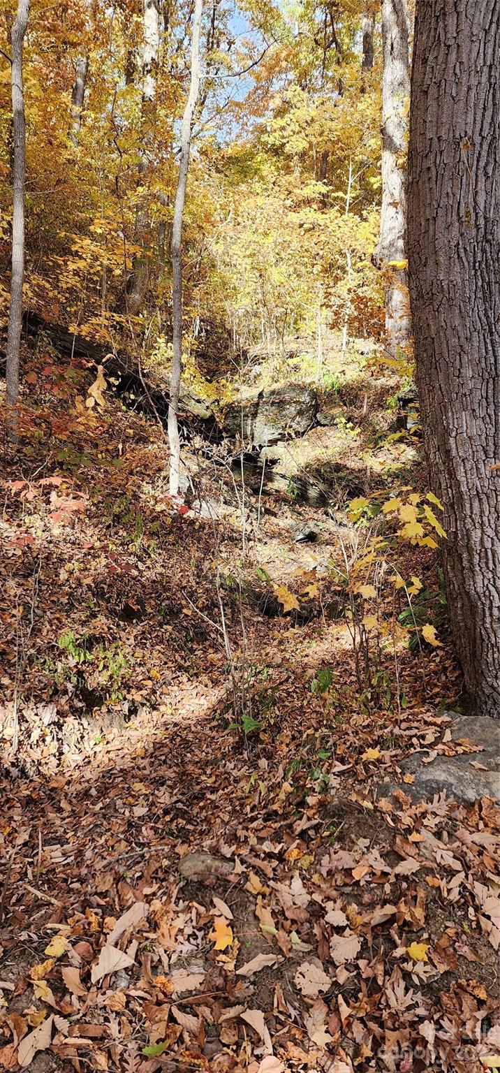 Countryside Acres - Land