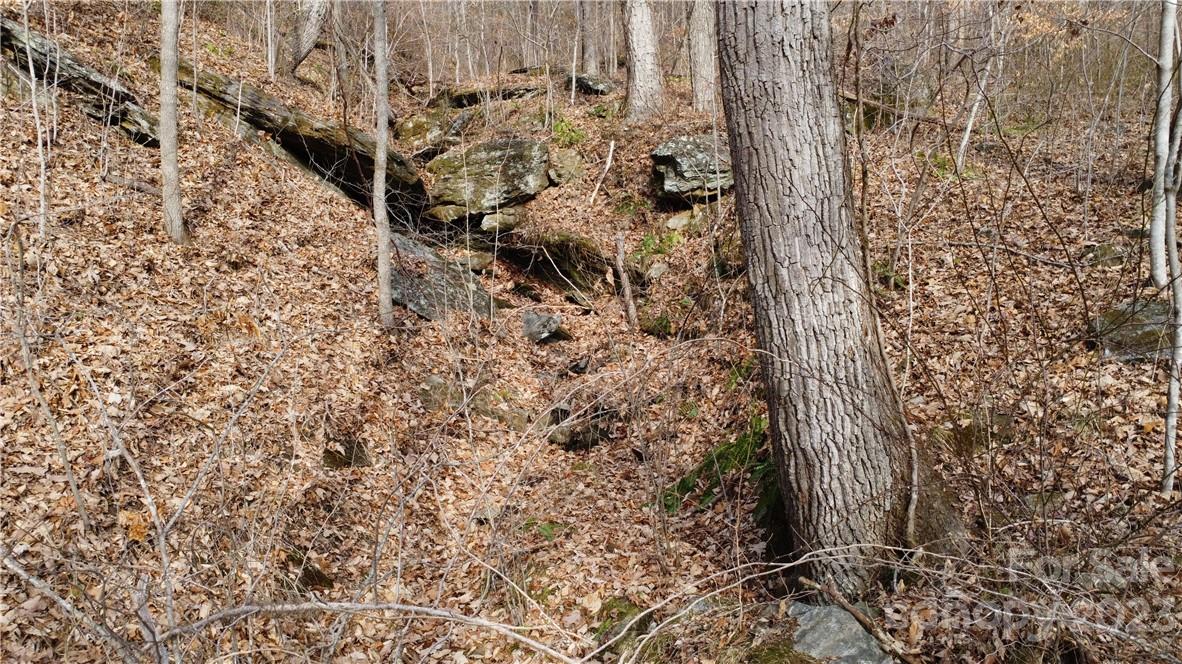 Countryside Acres - Land