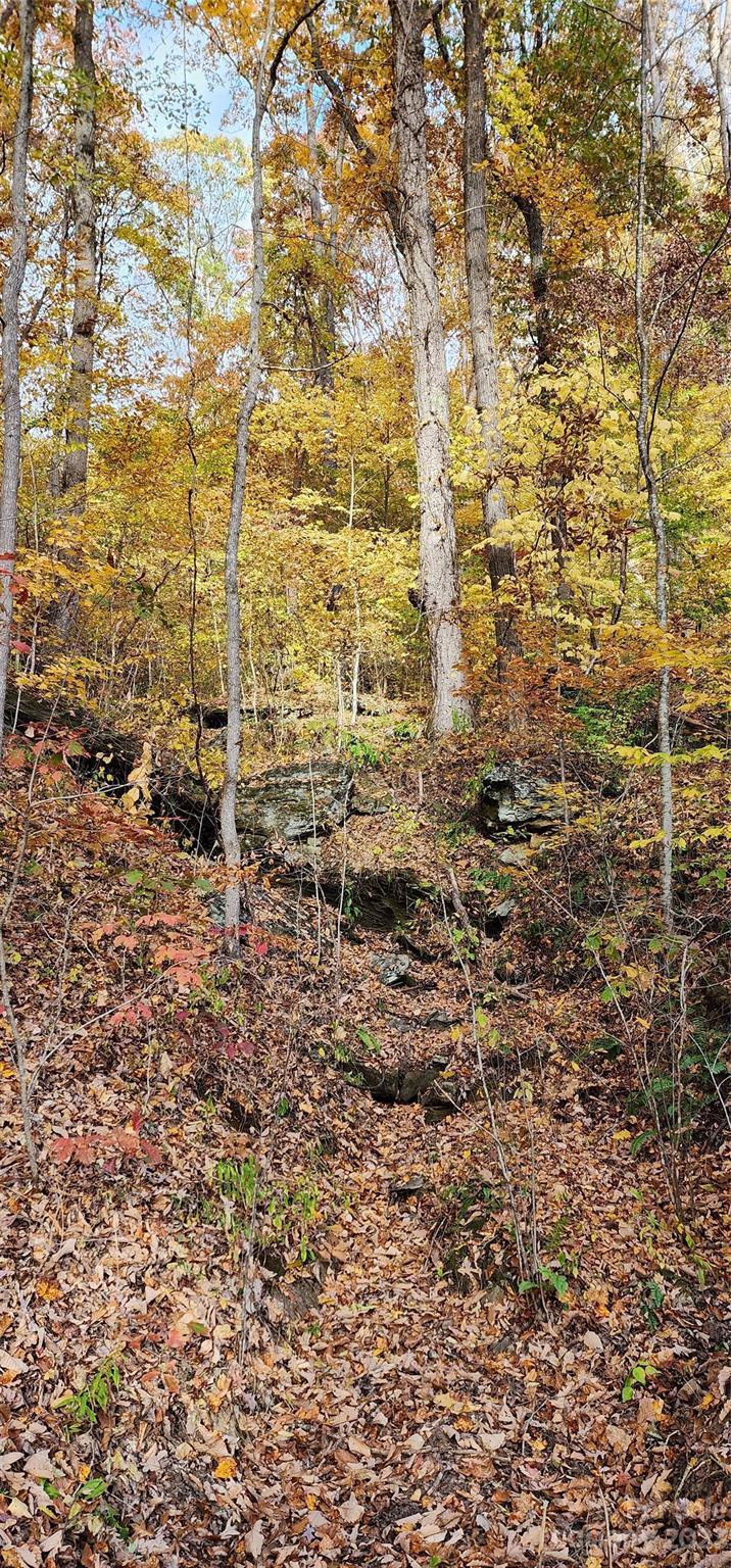 Countryside Acres - Land