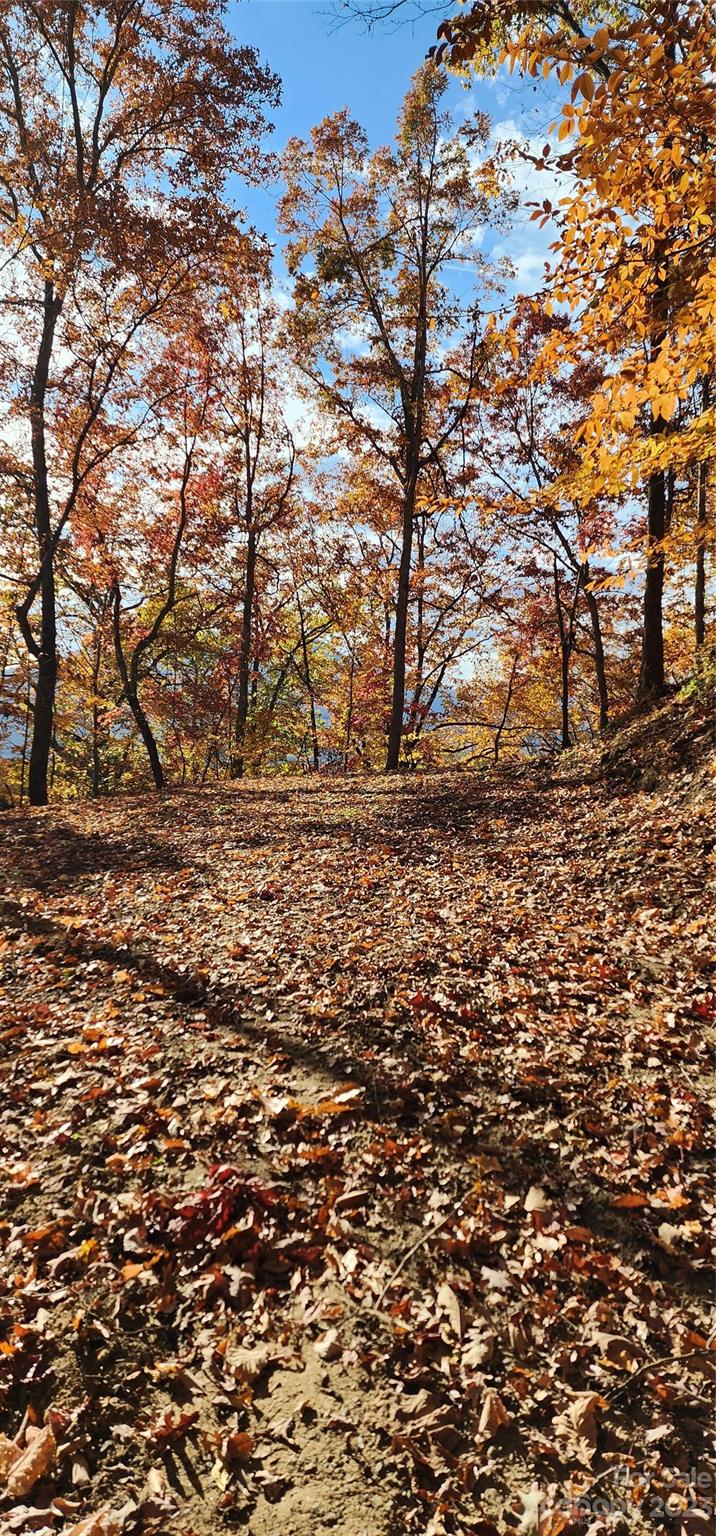 Countryside Acres - Land