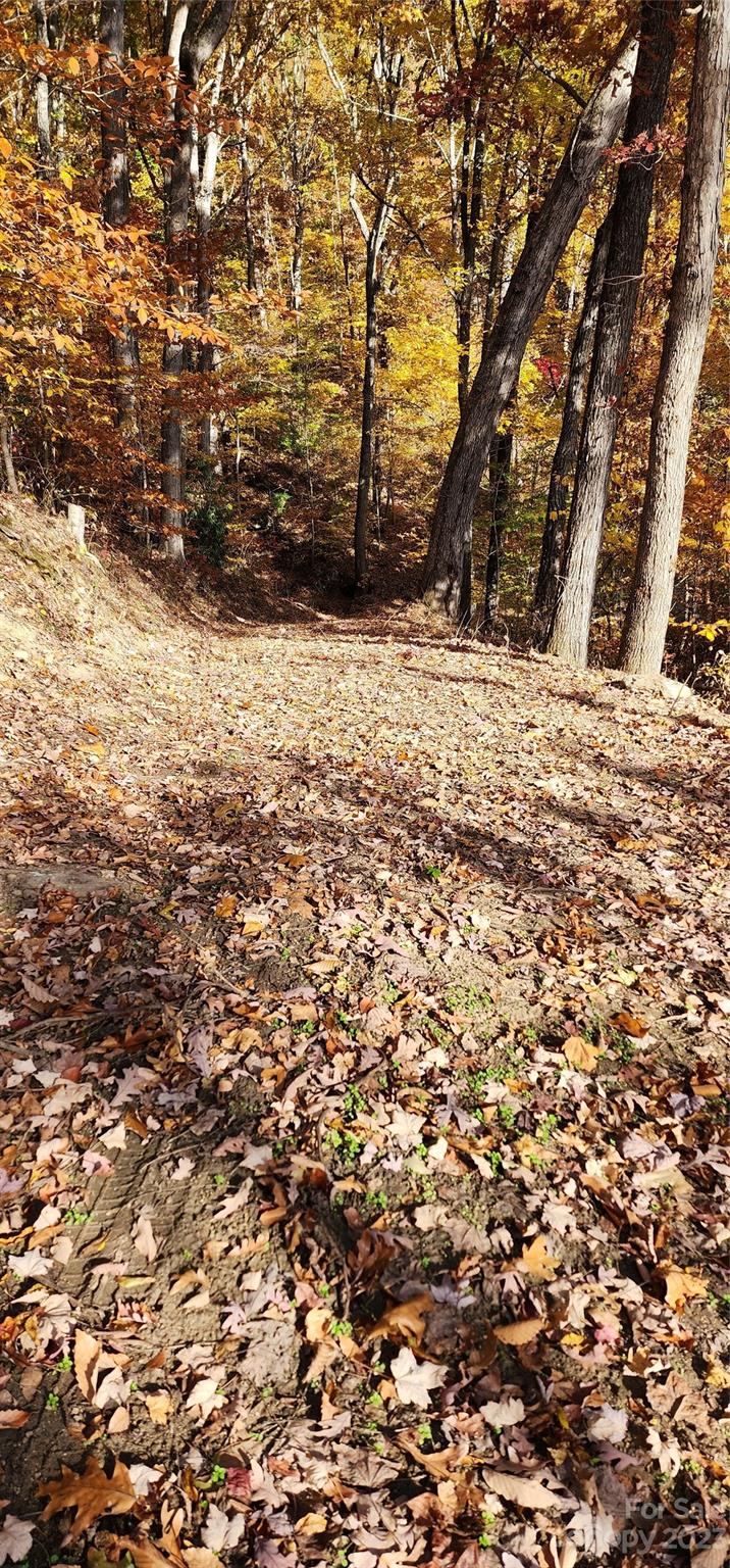 Countryside Acres - Land