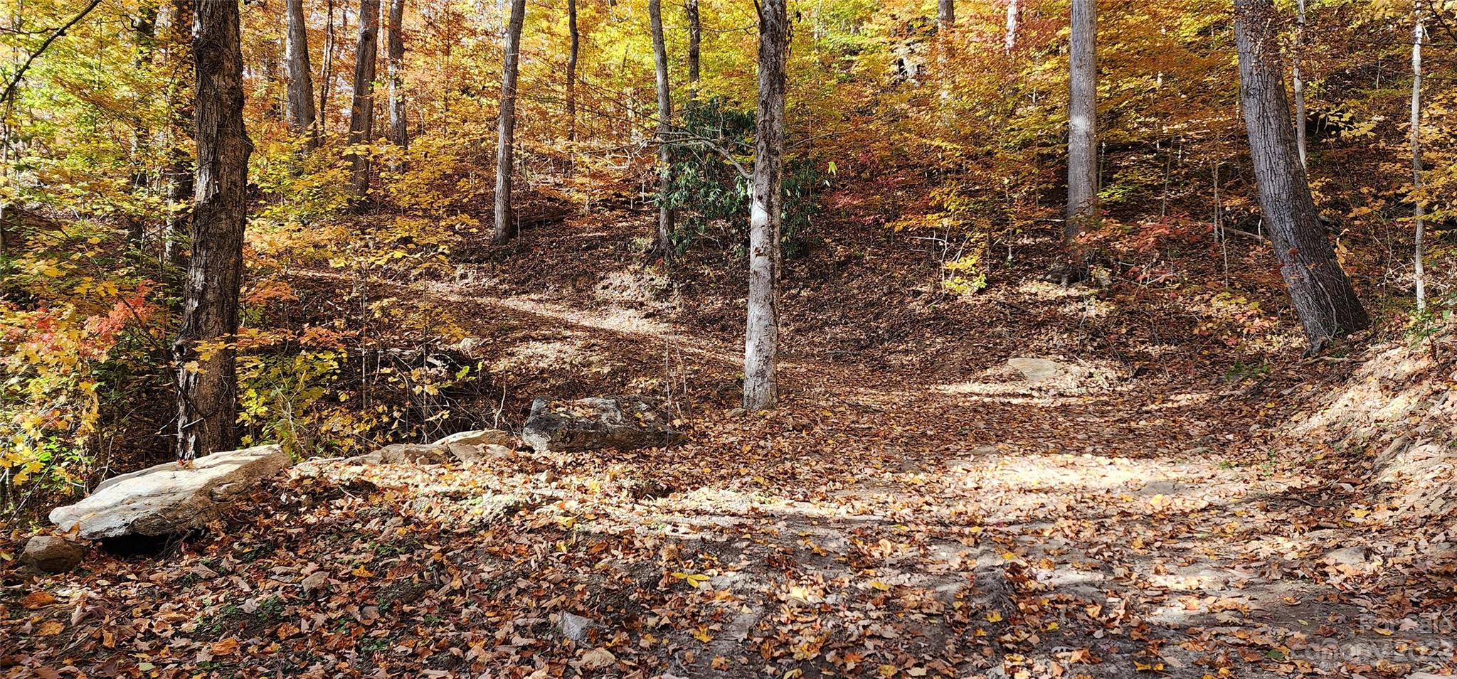 Countryside Acres - Land