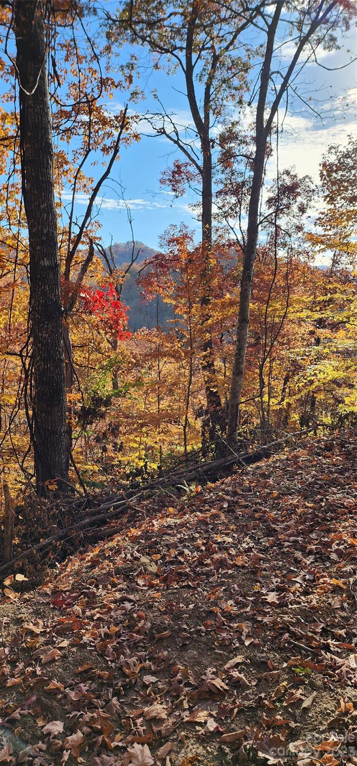 Countryside Acres - Land