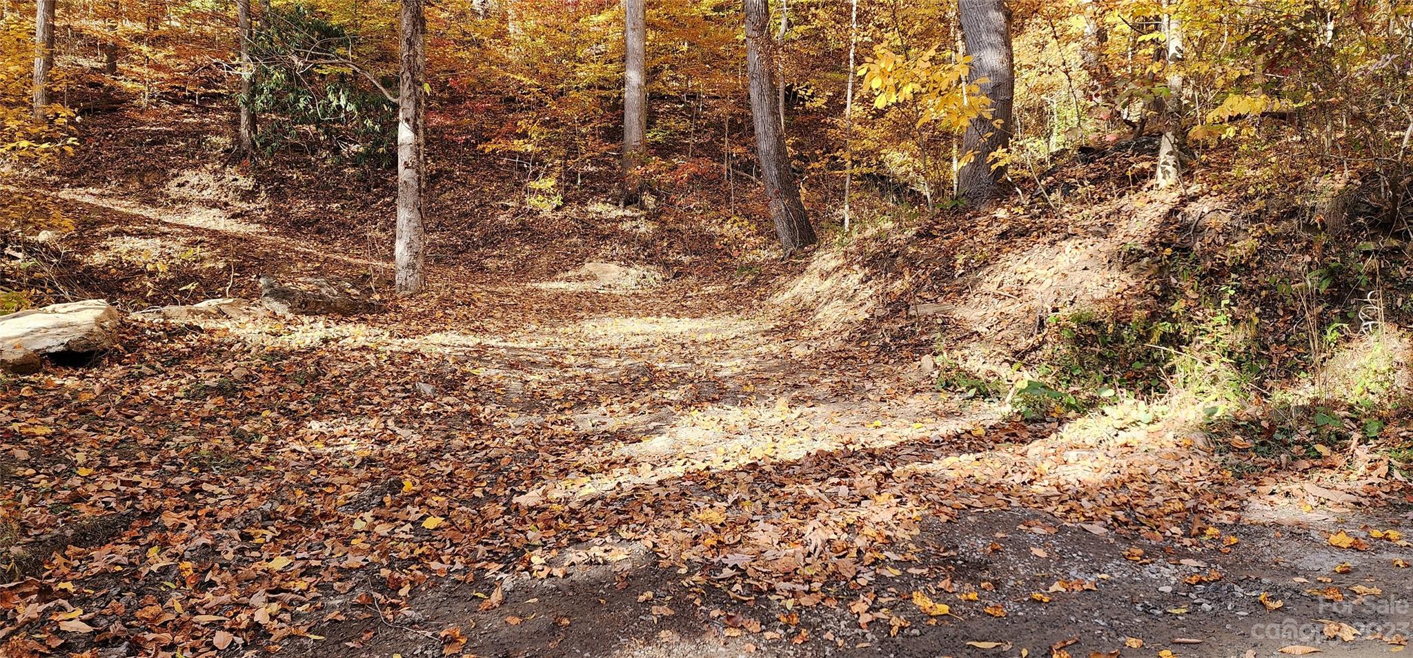 Countryside Acres - Land