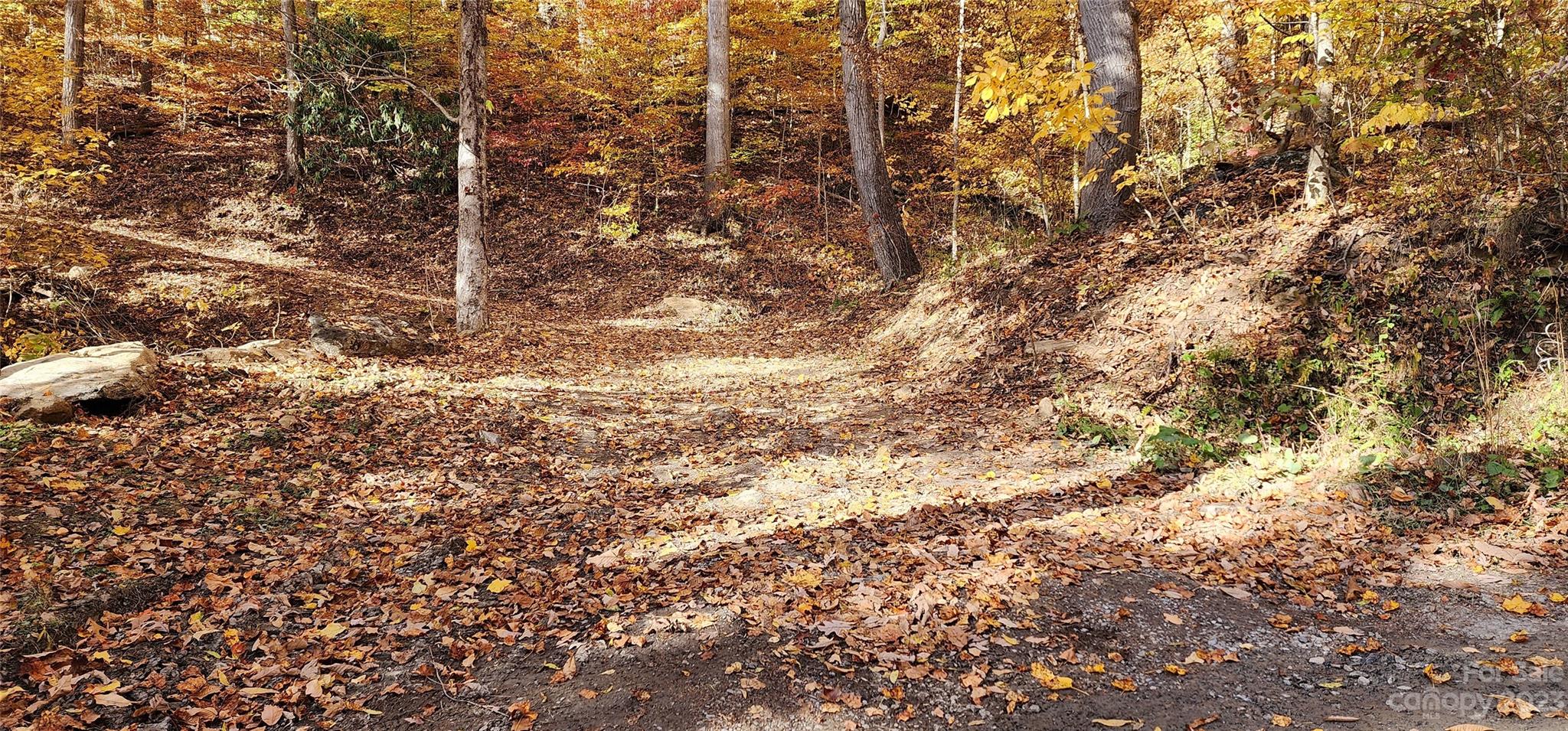 Countryside Acres - Land