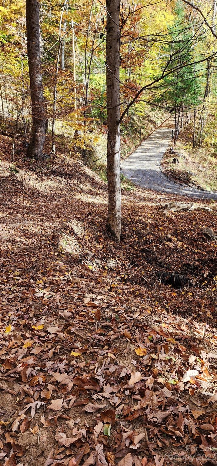 Countryside Acres - Land