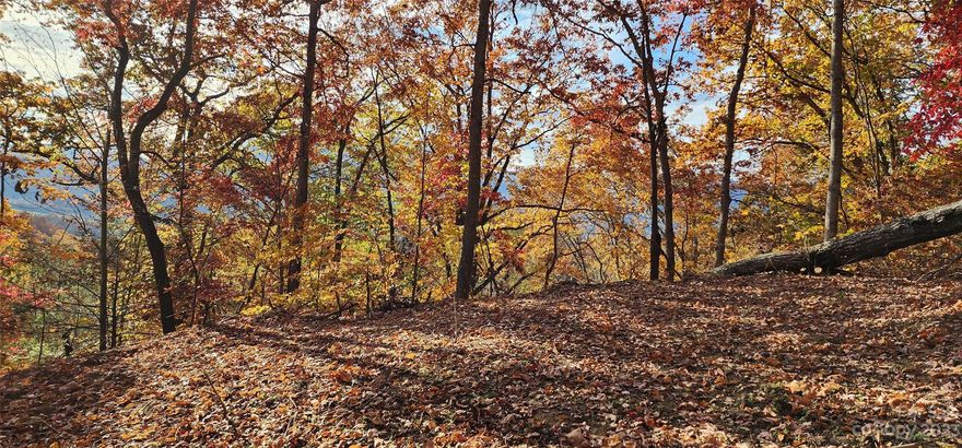 Driveway and House pad Cleared!  Large 3+ acre lot in well-established subdivision of Countryside Acres.  Easy access, great winter view and Year Round View with minimal trimming, a great place to call home!  Build your dream home here in Countryside Acres.