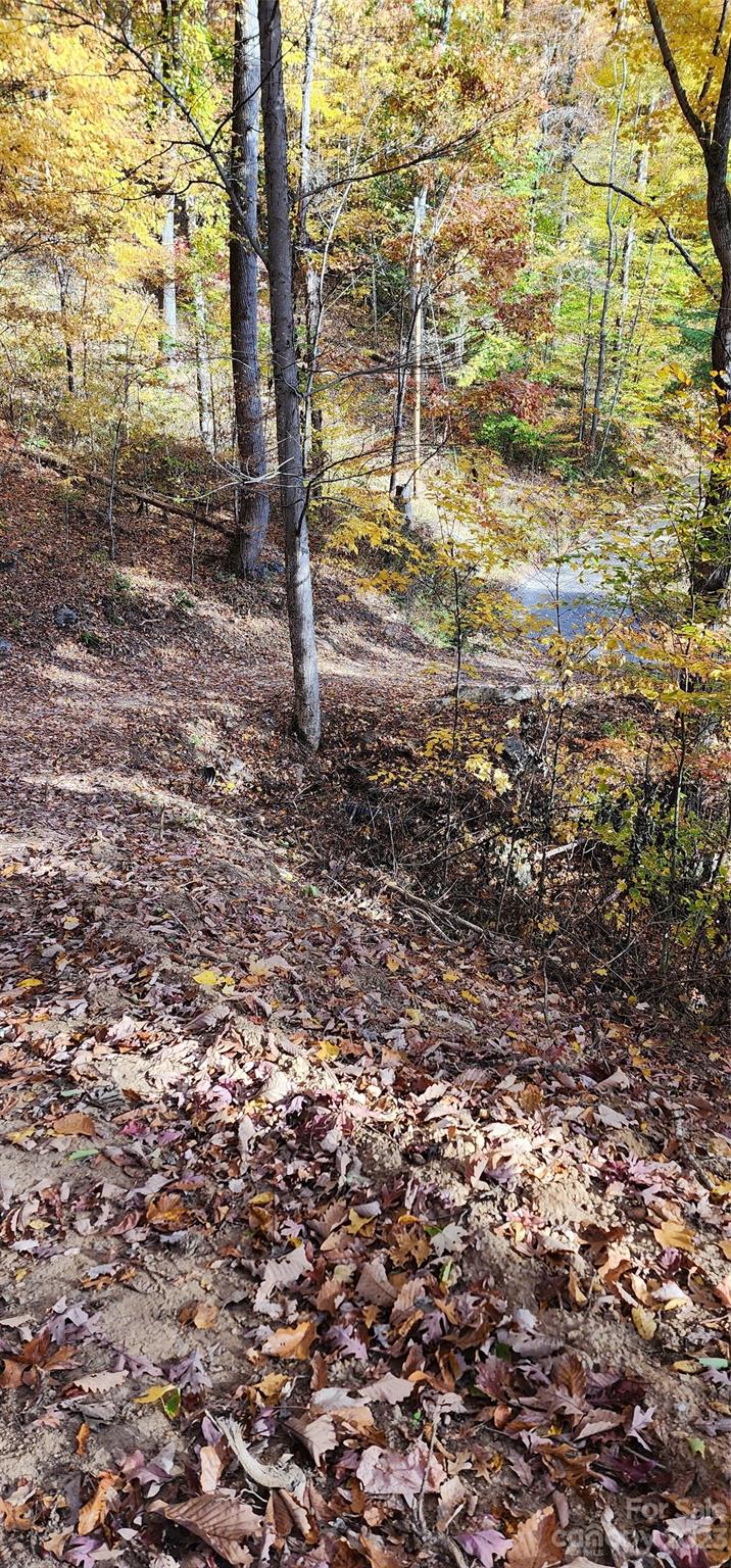 Countryside Acres - Land