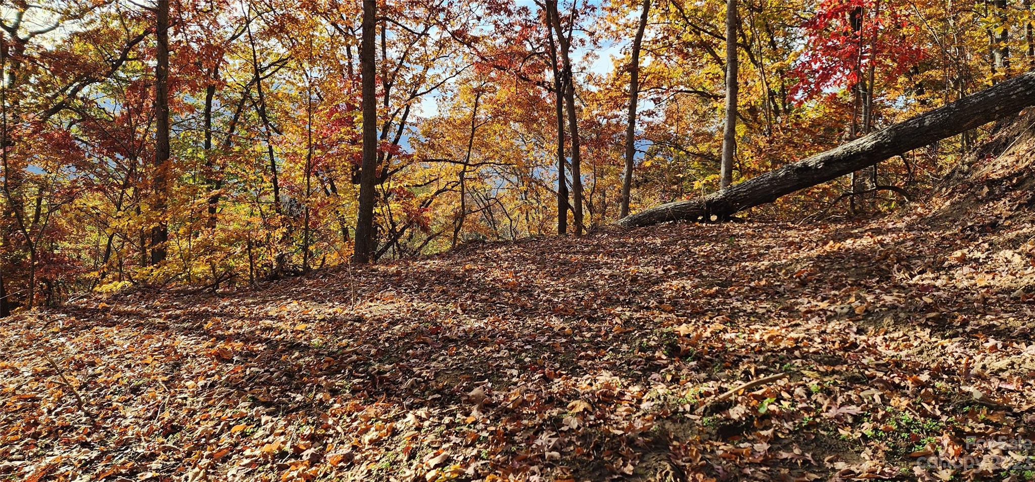 Countryside Acres - Land