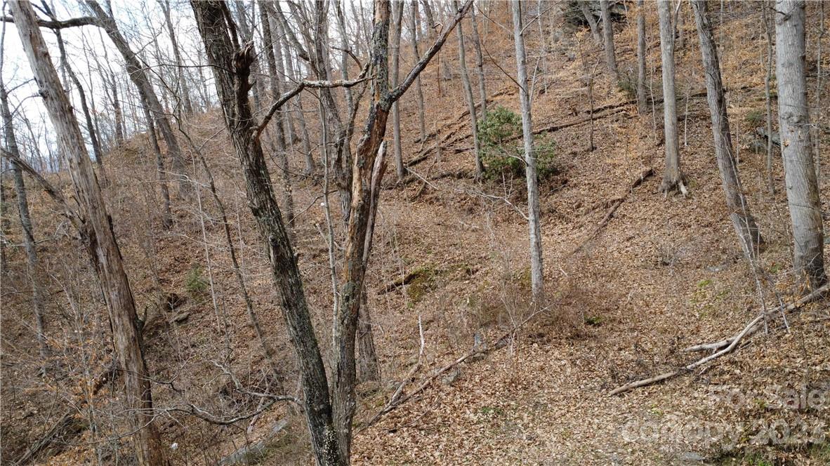 Countryside Acres - Land