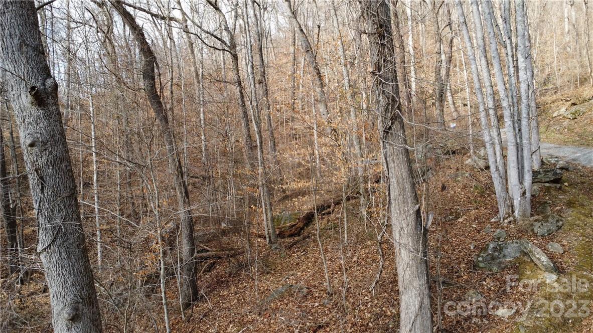 Countryside Acres - Land