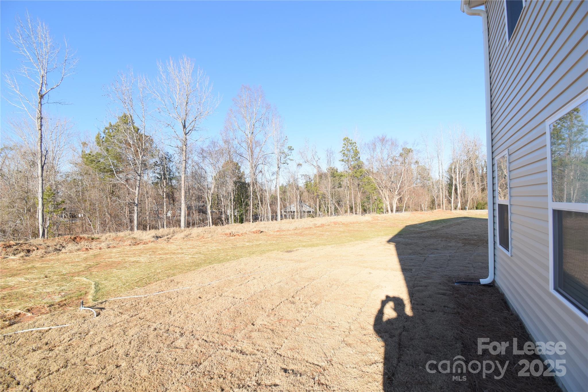 Buffalo Creek - Residential Lease