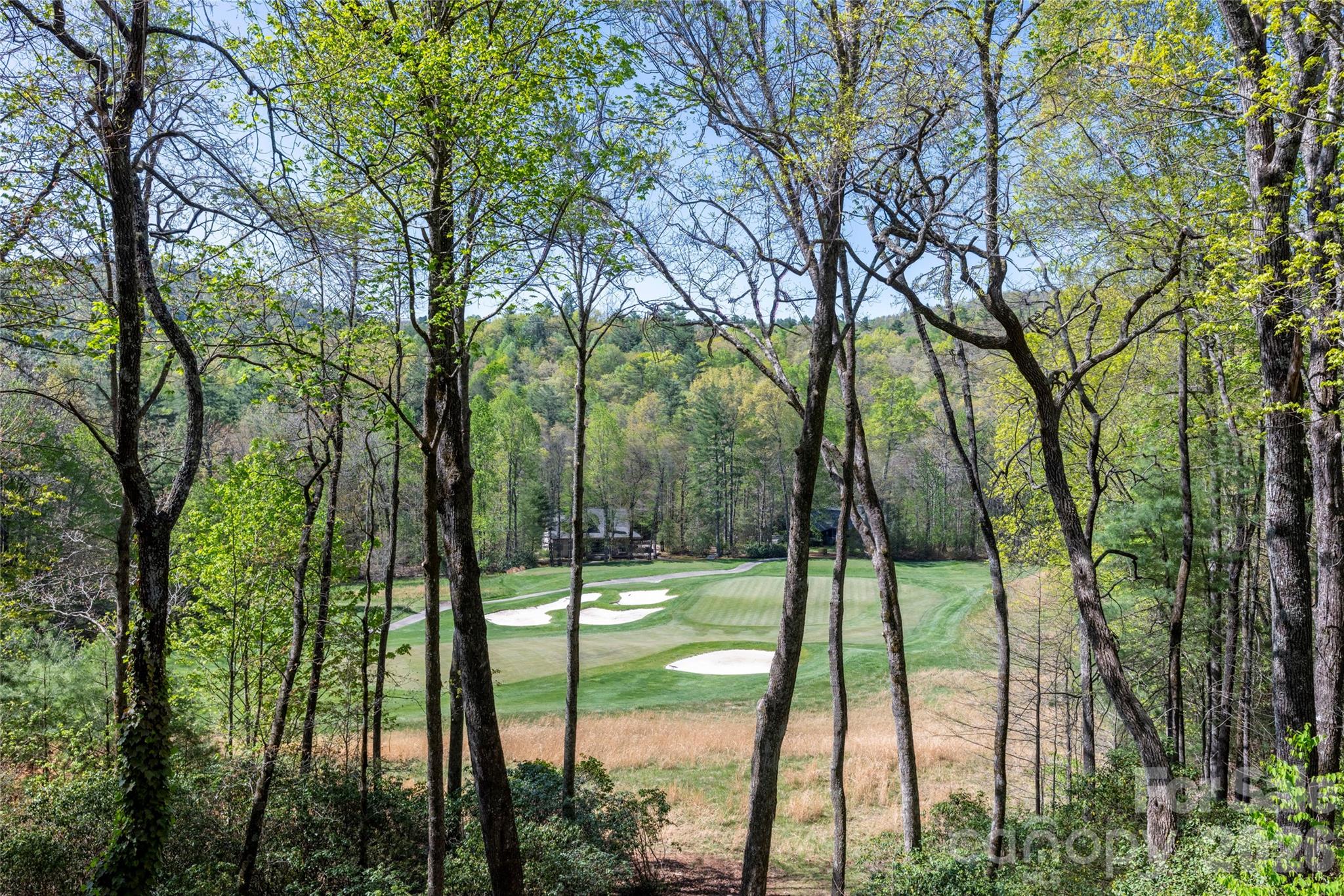 Lake Toxaway Estates - Residential