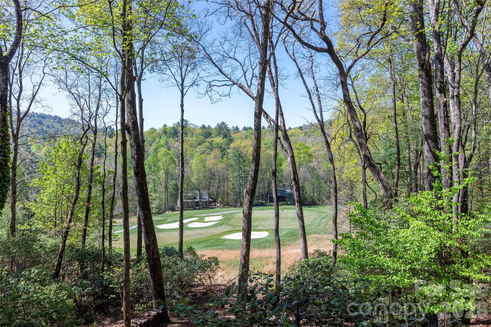 Lake Toxaway Estates - Residential