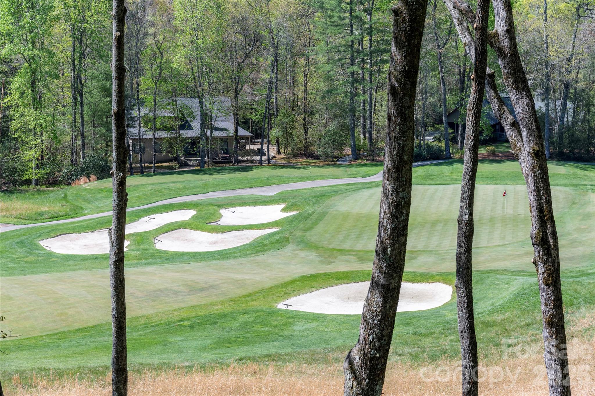 Lake Toxaway Estates - Residential
