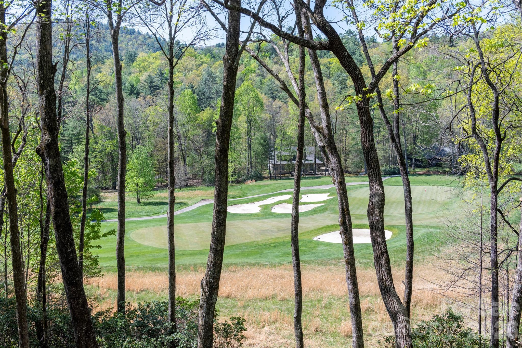 Lake Toxaway Estates - Residential