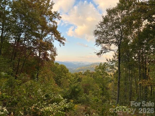 Smoky Mountain Retreat at Eagles Nest - Residential