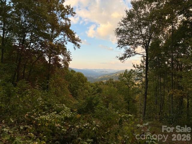 Smoky Mountain Retreat at Eagles Nest - Residential