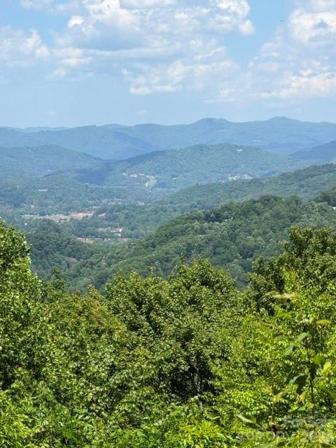 105 Dotsu Trail