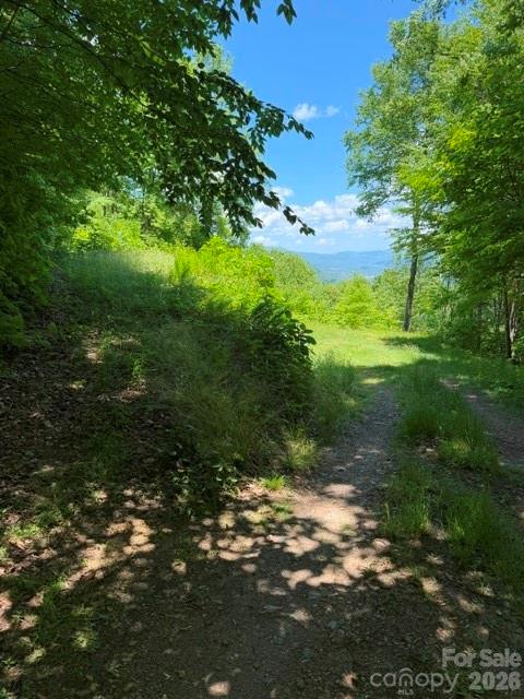 105 Dotsu Trail