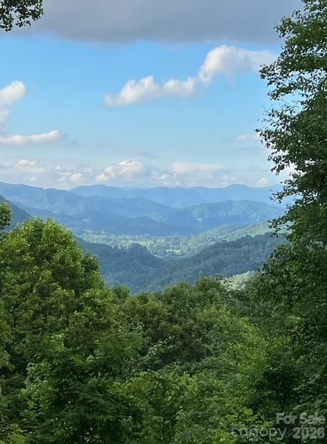 Smoky Mountain Retreat at Eagles Nest - Residential