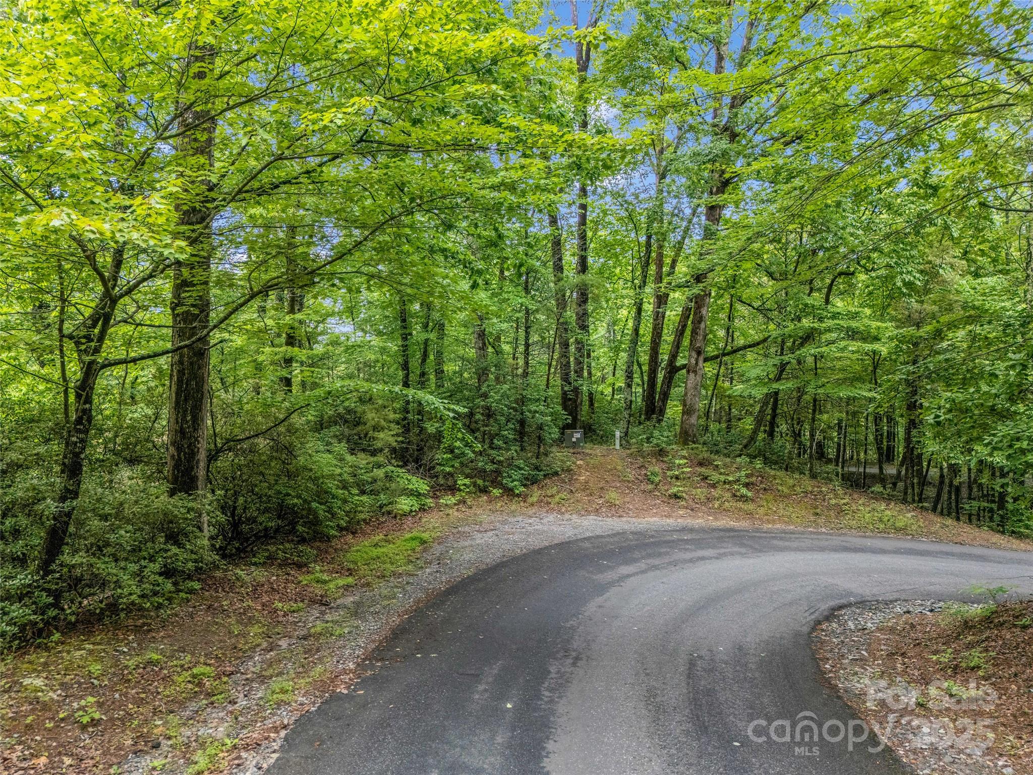 Rumbling Bald on Lake Lure - Land