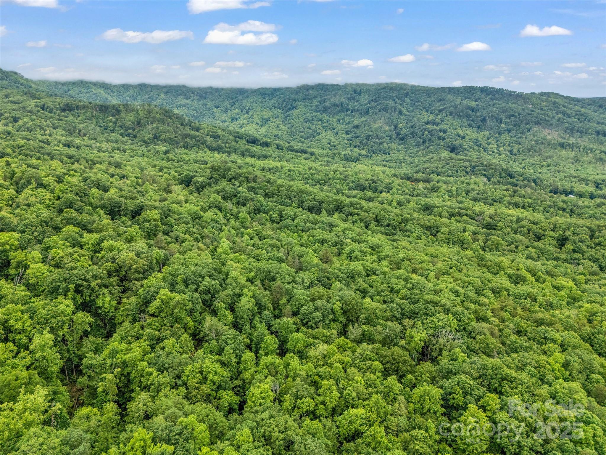 Rumbling Bald on Lake Lure - Land