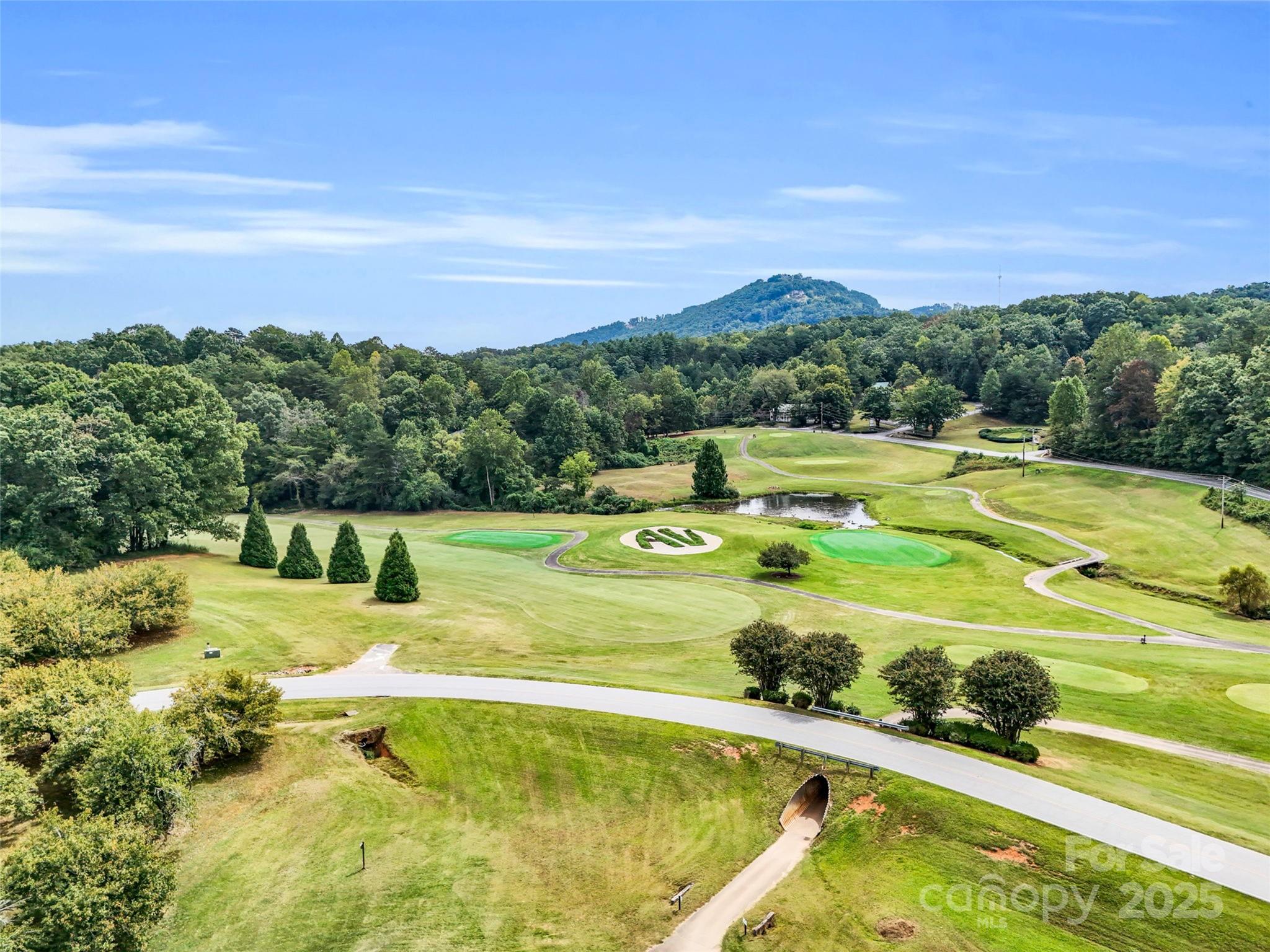 Rumbling Bald on Lake Lure - Land