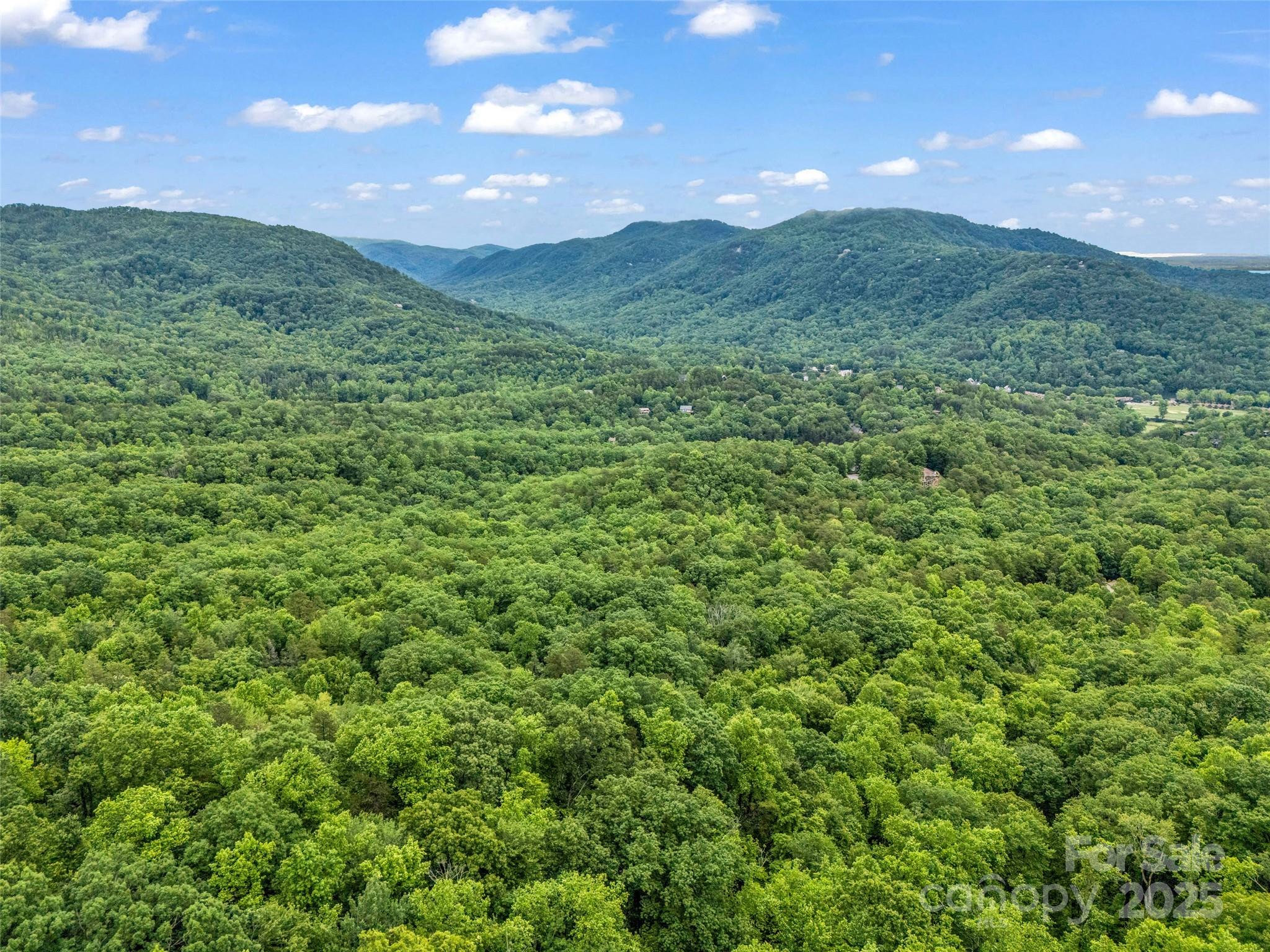 Rumbling Bald on Lake Lure - Land