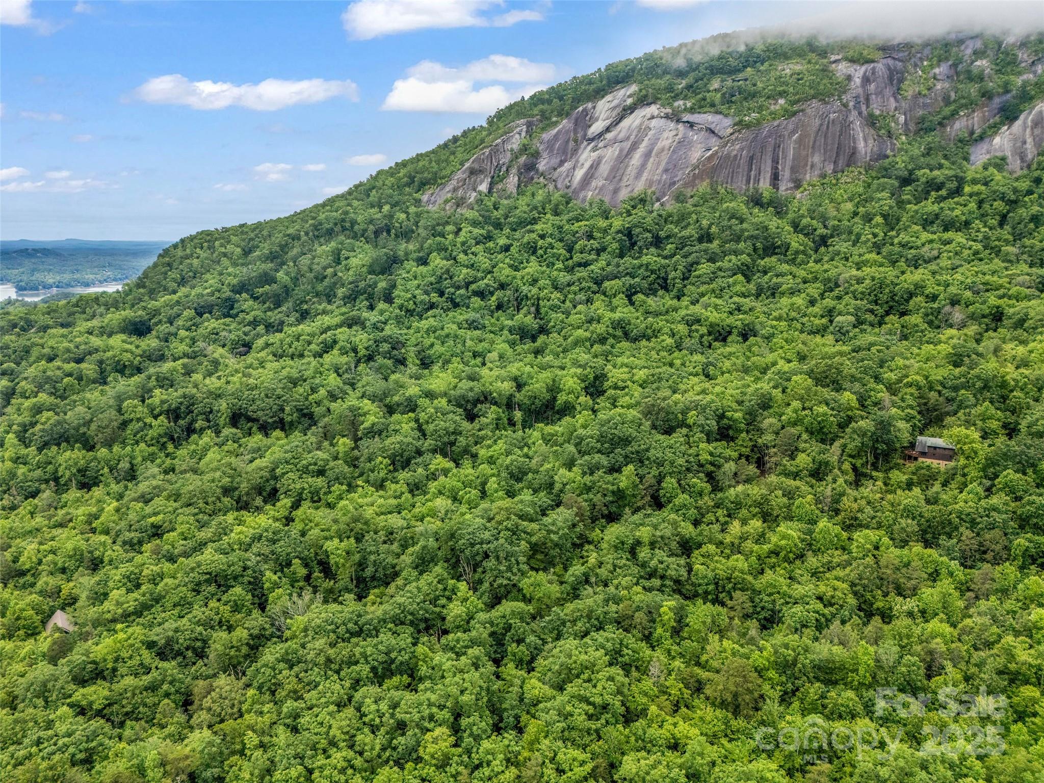 Rumbling Bald on Lake Lure - Land