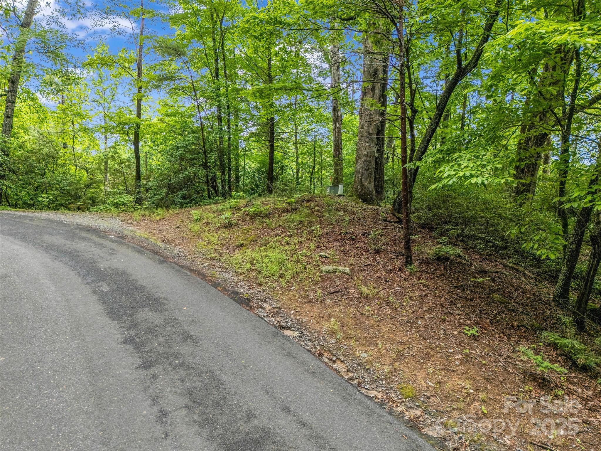 Rumbling Bald on Lake Lure - Land