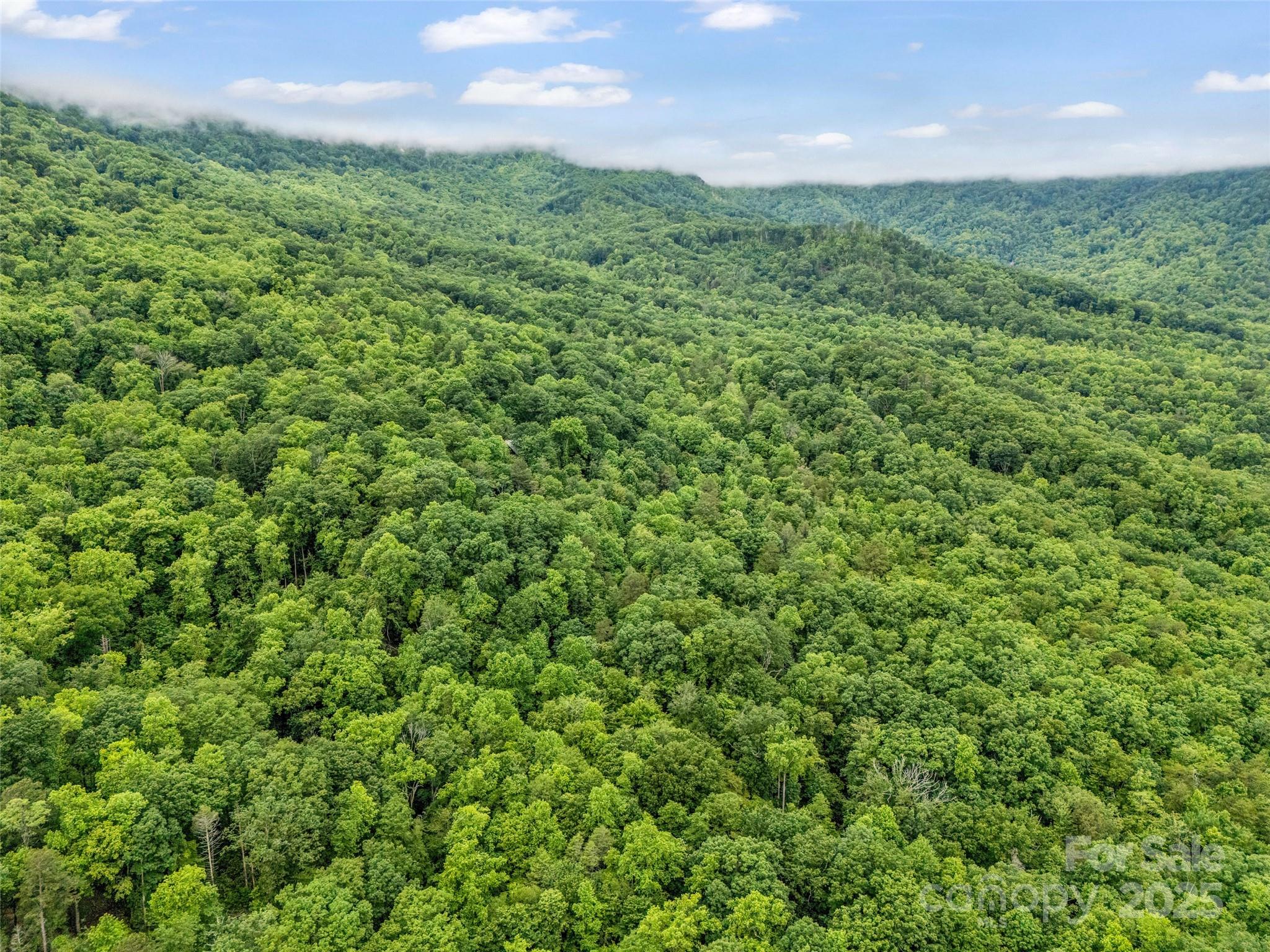 Rumbling Bald on Lake Lure - Land