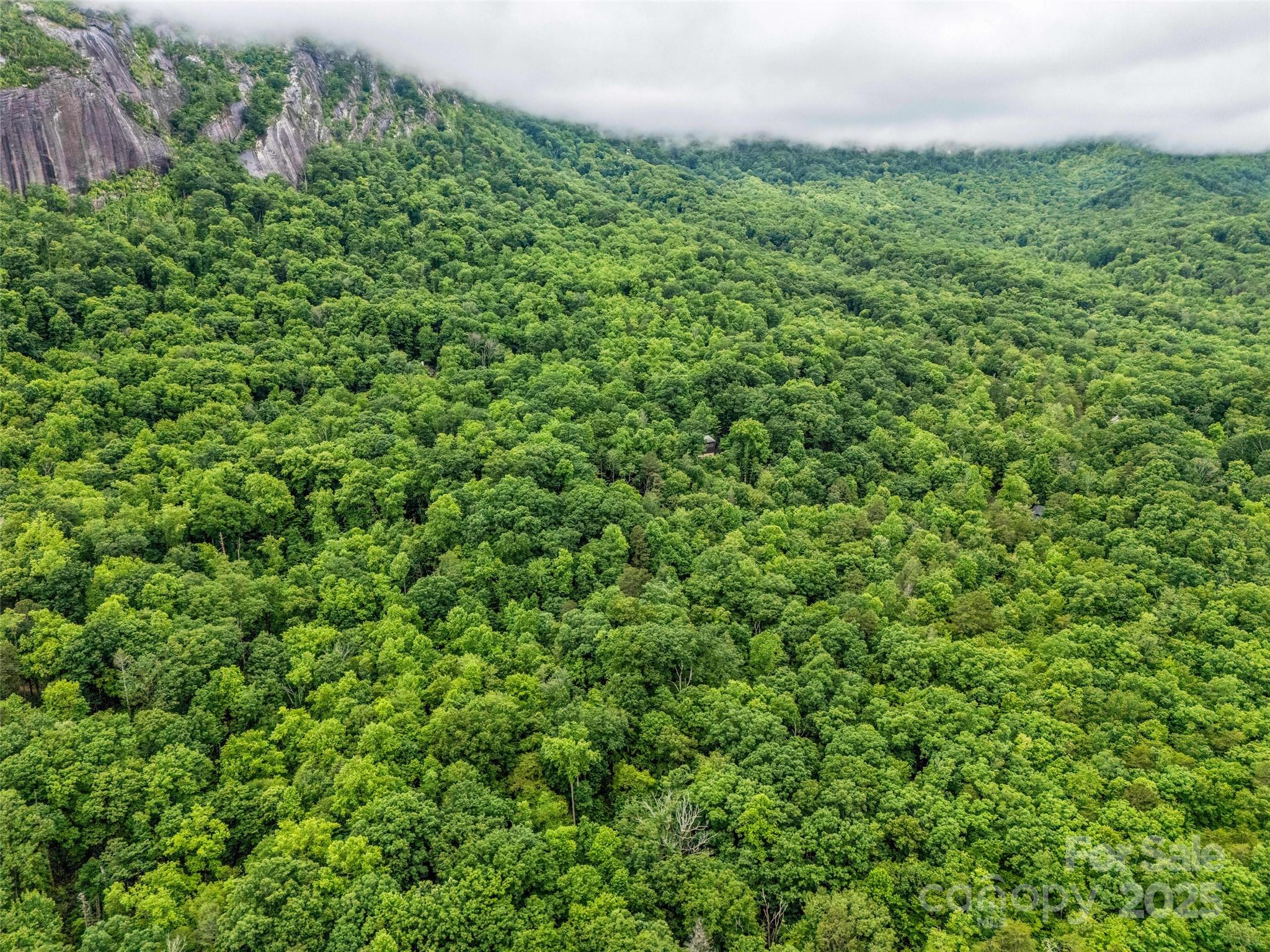 Rumbling Bald on Lake Lure - Land