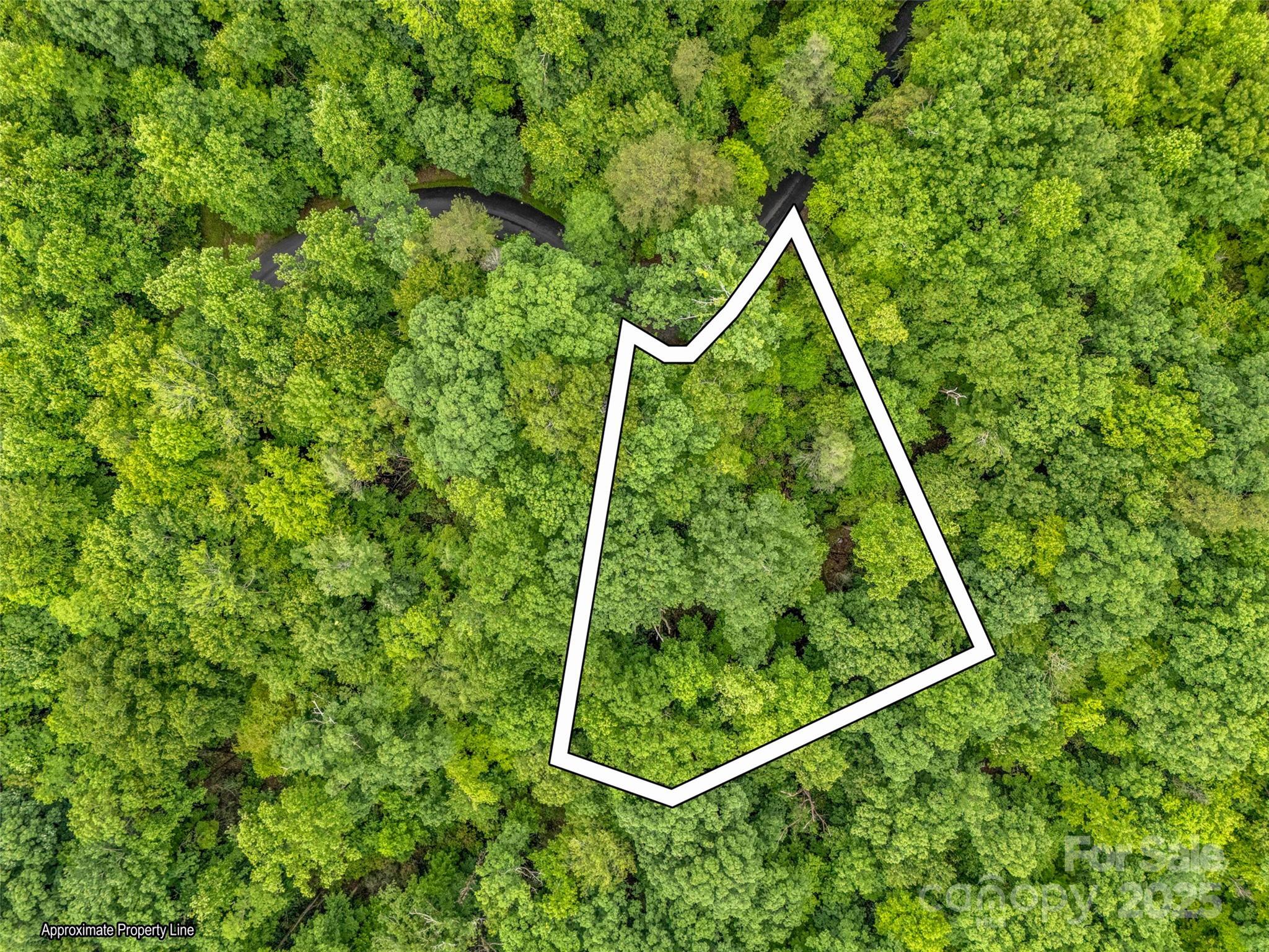 Rumbling Bald on Lake Lure - Land