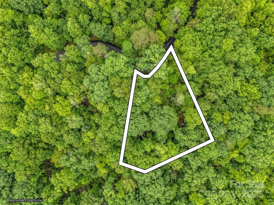 Discover the perfect canvas for your dream mountain retreat behind the gates of Rumbling Bald Resort on Lake Lure. This serene homesite offers a prime building location that, once cleared, could reveal captivating close-range mountain views. Tucked away for ultimate privacy, yet just moments from an array of world-class amenities, you’ll enjoy access to two championship golf courses, indoor and outdoor pools, tennis and pickleball courts, a fitness center, restaurants, a private beach, marina, and so much more. Owners were told there was a 3 bedroom septic when they purchased this property but no septic records were found.