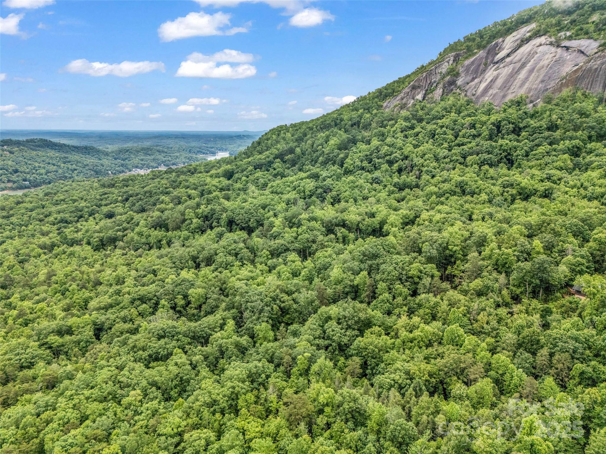 Rumbling Bald on Lake Lure - Land