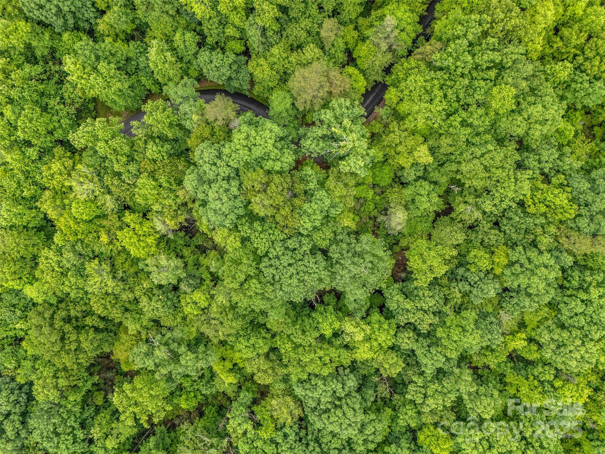 Rumbling Bald on Lake Lure - Land