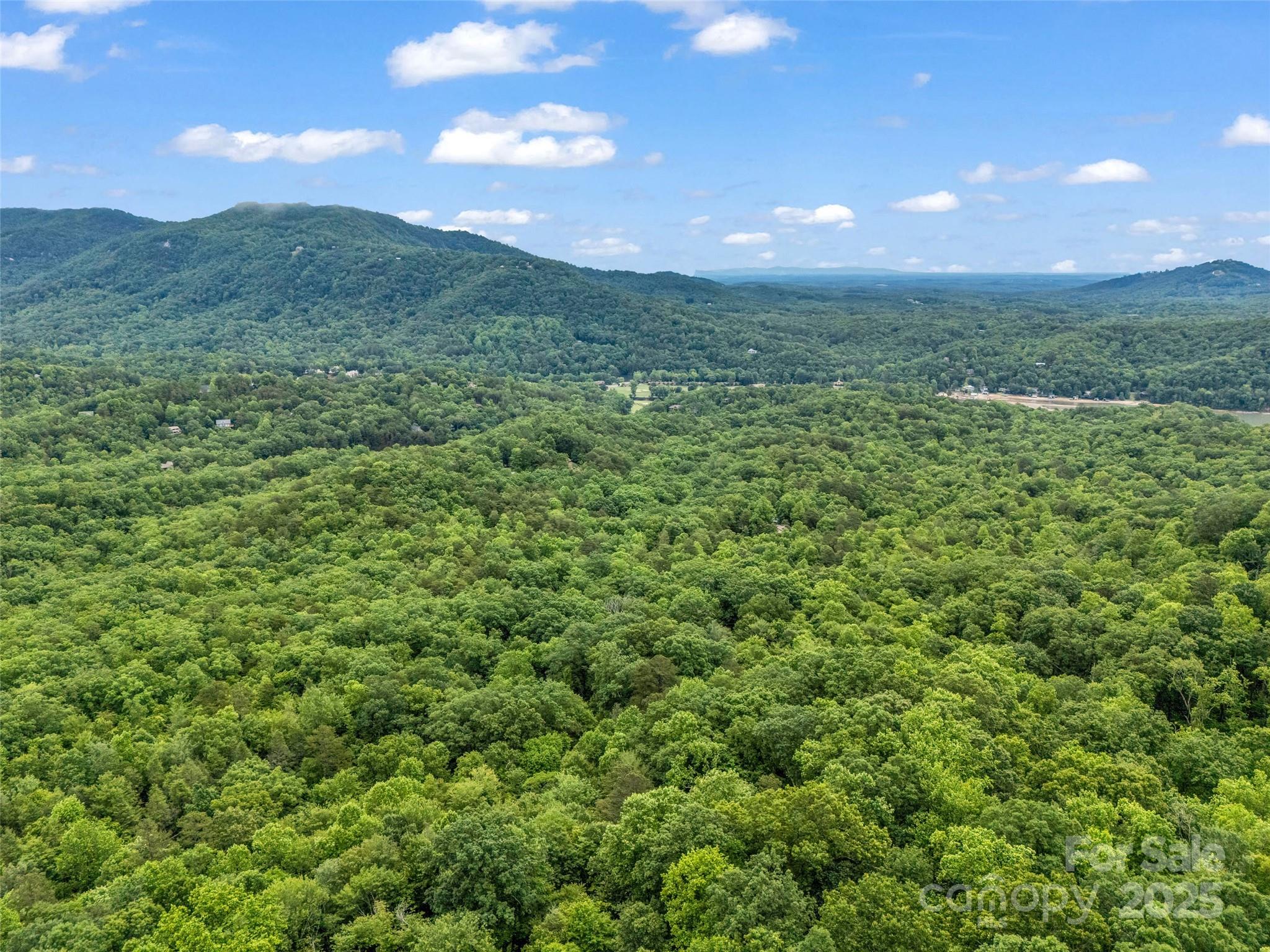 Rumbling Bald on Lake Lure - Land