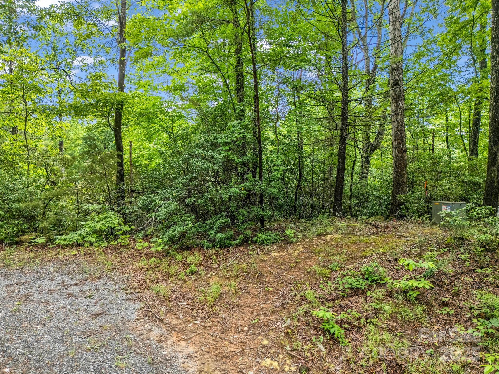 Rumbling Bald on Lake Lure - Land