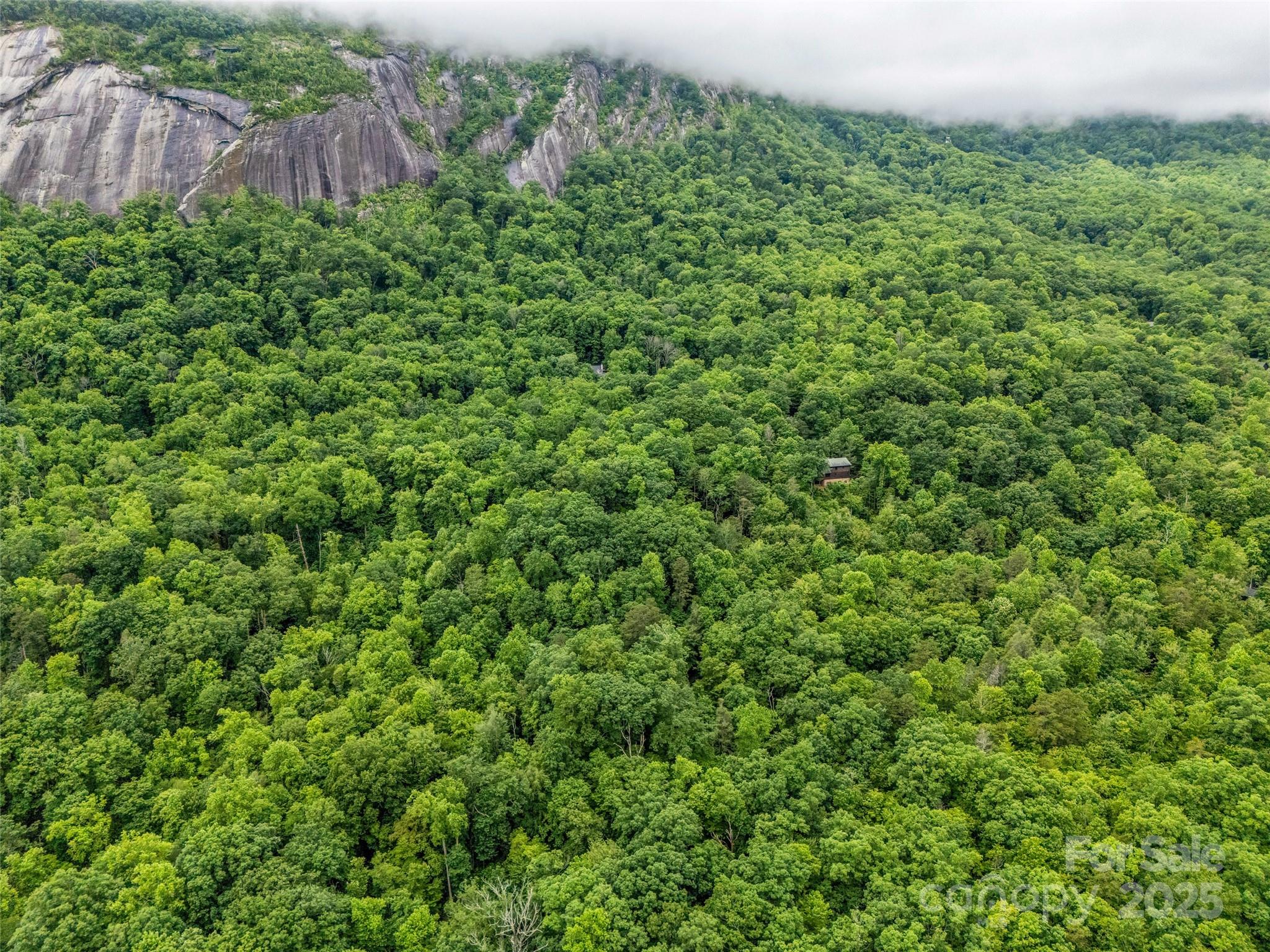 Rumbling Bald on Lake Lure - Land
