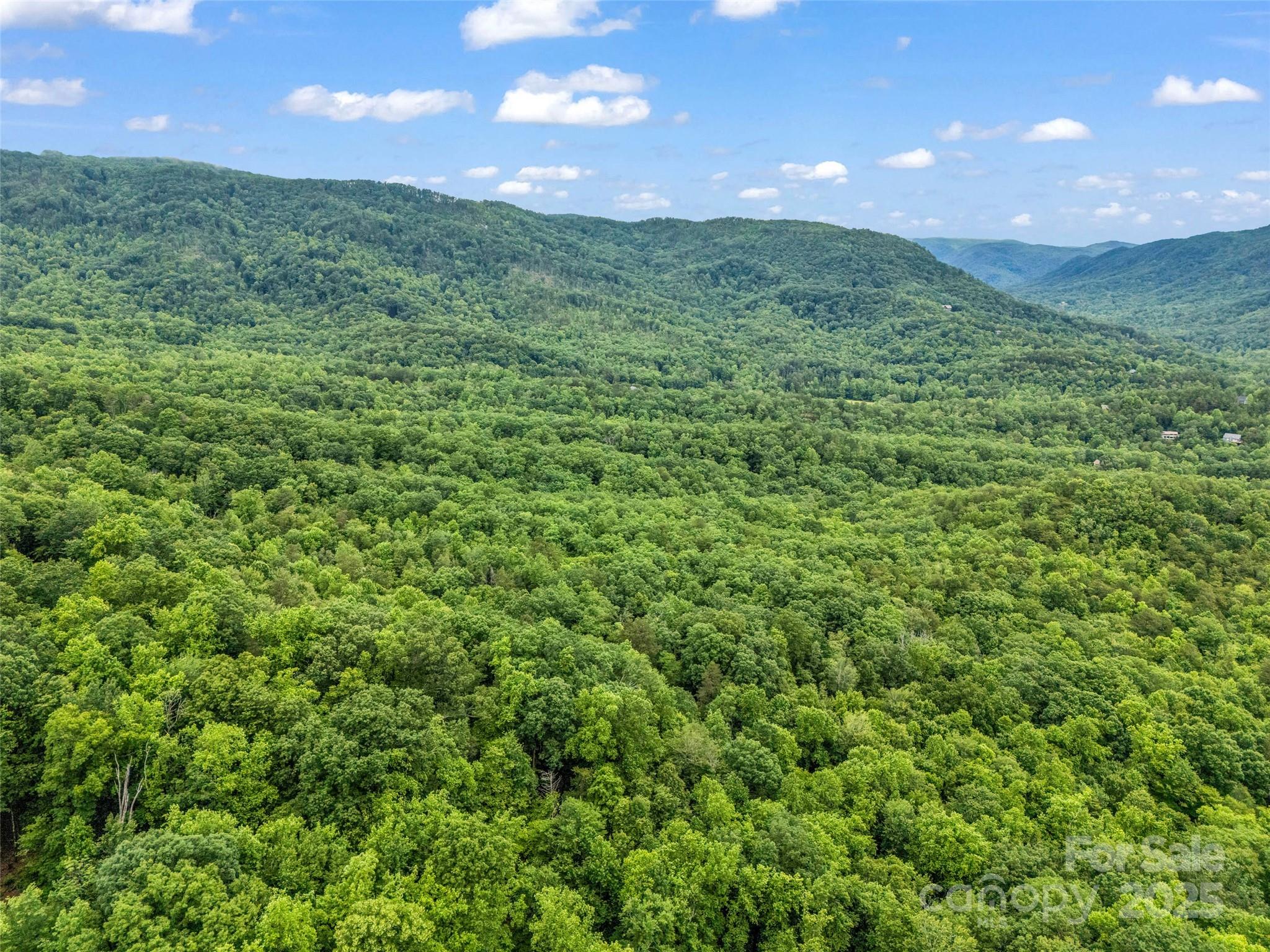 Rumbling Bald on Lake Lure - Land