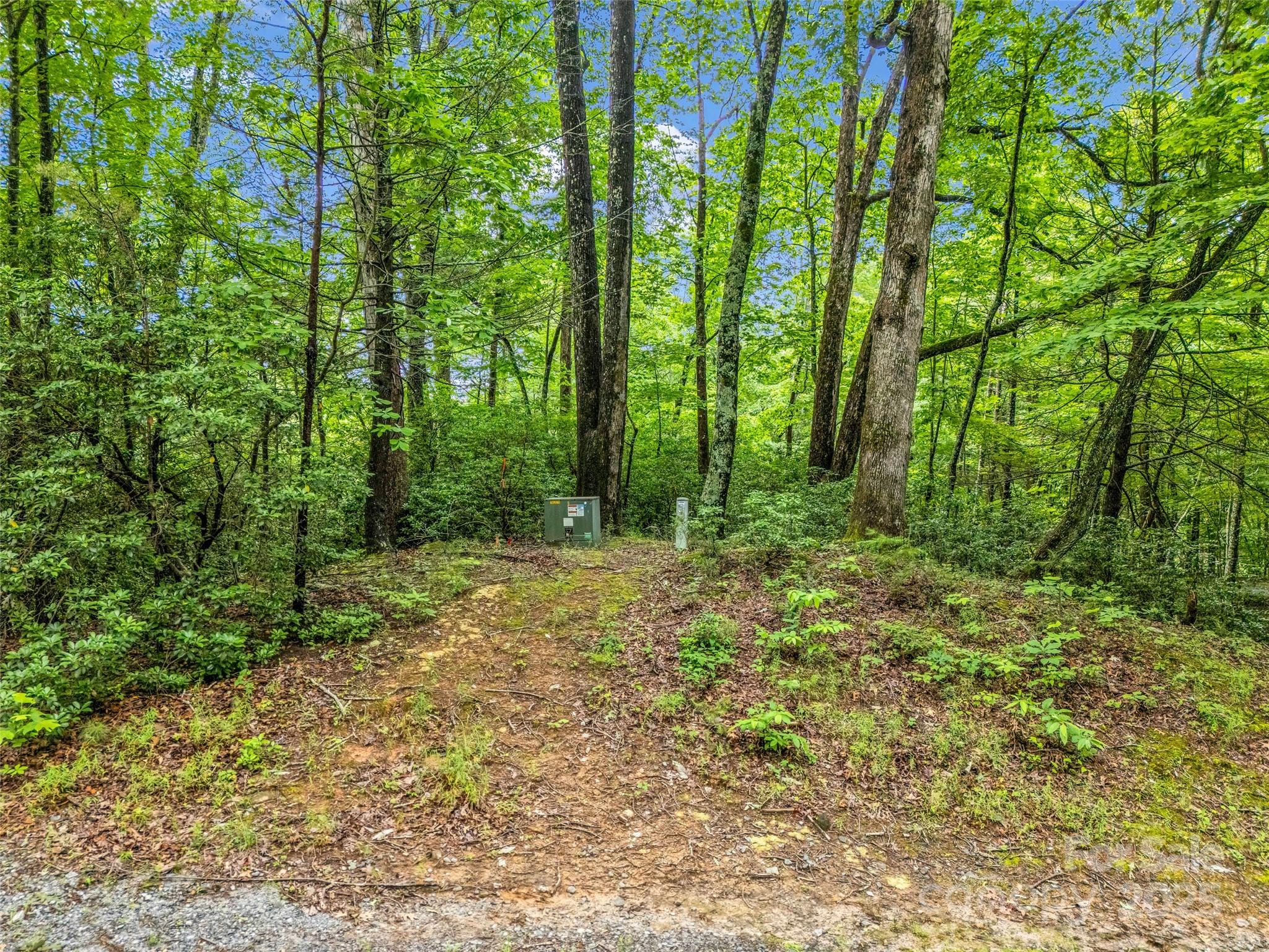 Rumbling Bald on Lake Lure - Land